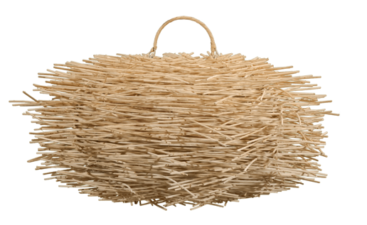 Cactus GDE Hanging Lamp 